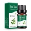 tea tree geur